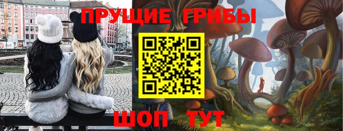 Псилоцибиновые грибы прущие грибы  Вход с VPN  Псилоцибиновые грибы Psilocybine cubensis  Гуково 