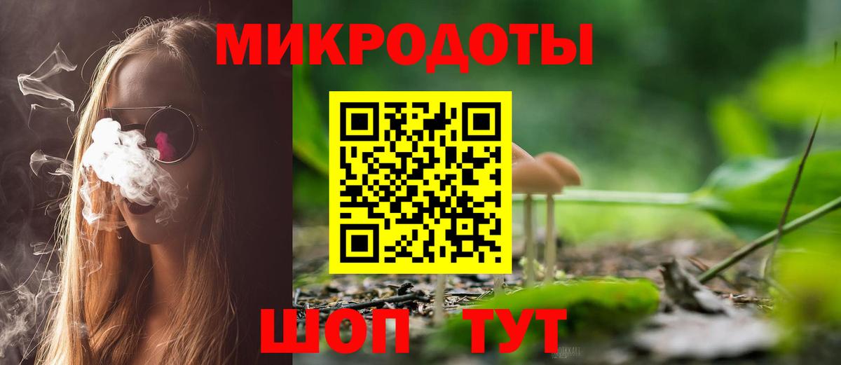 Псилоцибиновые грибы Cubensis Гуково